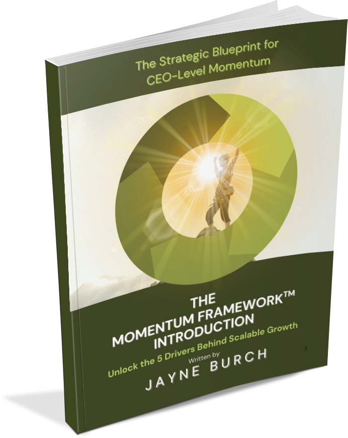 MM Momentum Frameword Infro - 3D cover