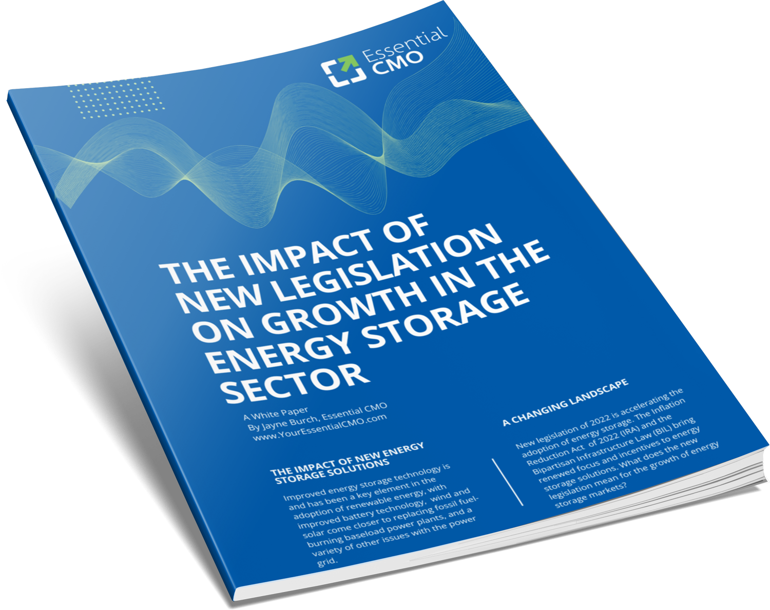 White Paper- The impact of new legislation on growth in the energy storage sector.